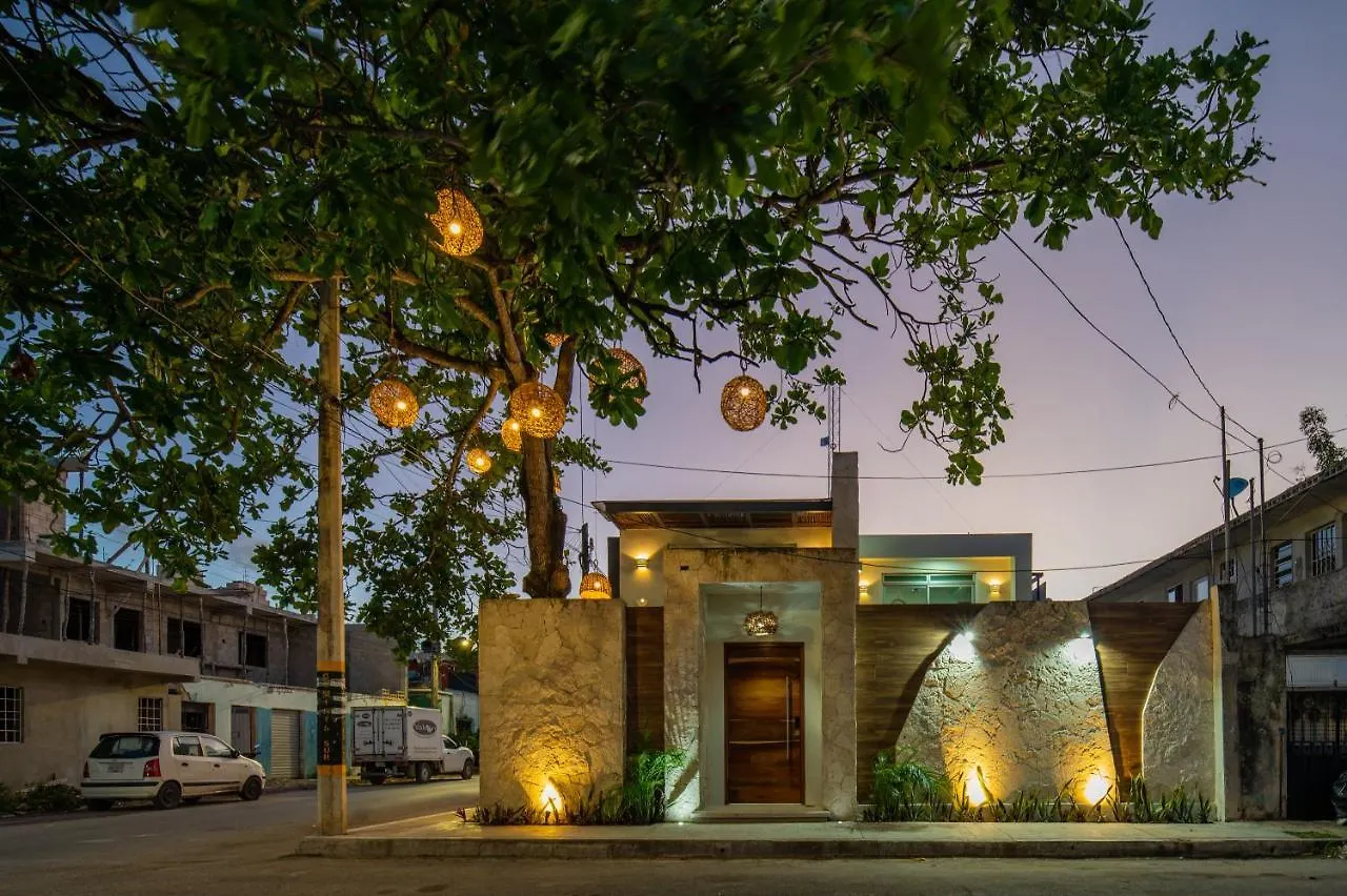 Casa Del Arbol Apartment Tulum